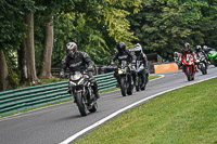 Lower Group Silver_Grey Bikes